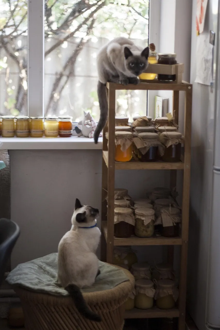 Mel e canela